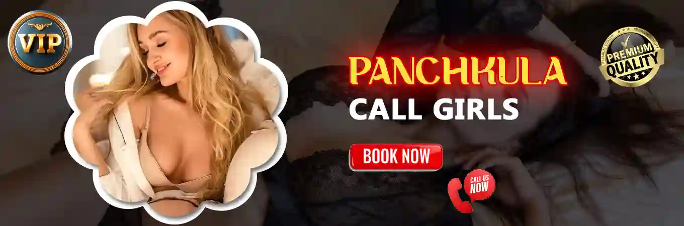 Panchkula Call Girls Banner